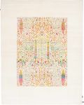 Shams Sari