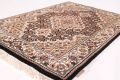 Tabriz Fein