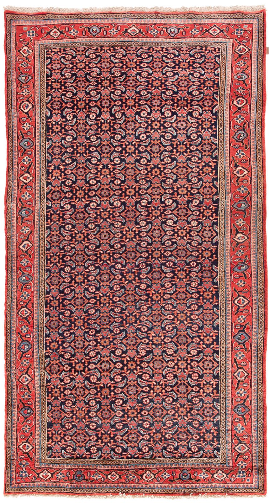 Malayer