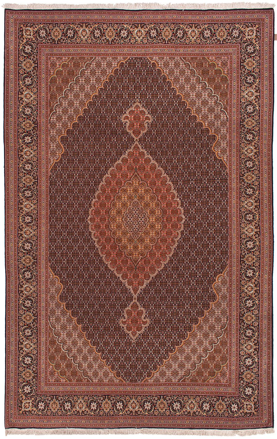 Tabriz Fein