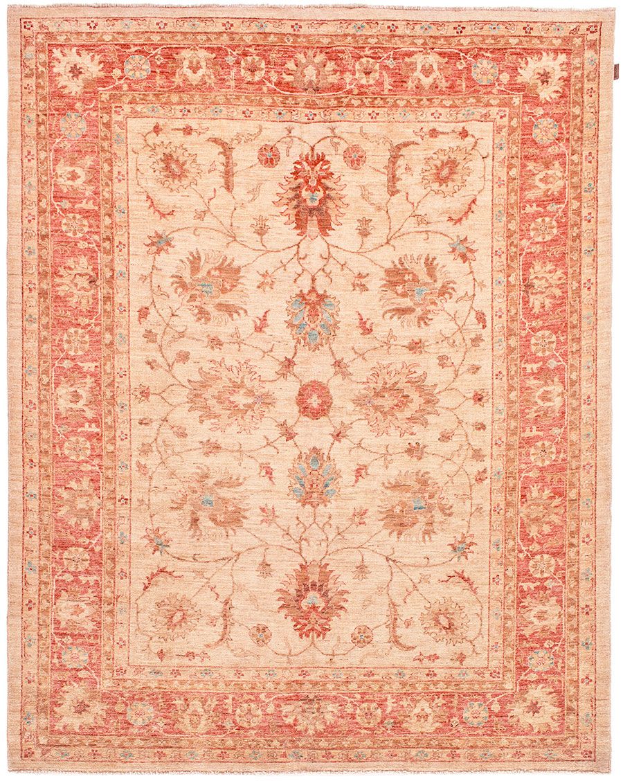 Farahan Fein