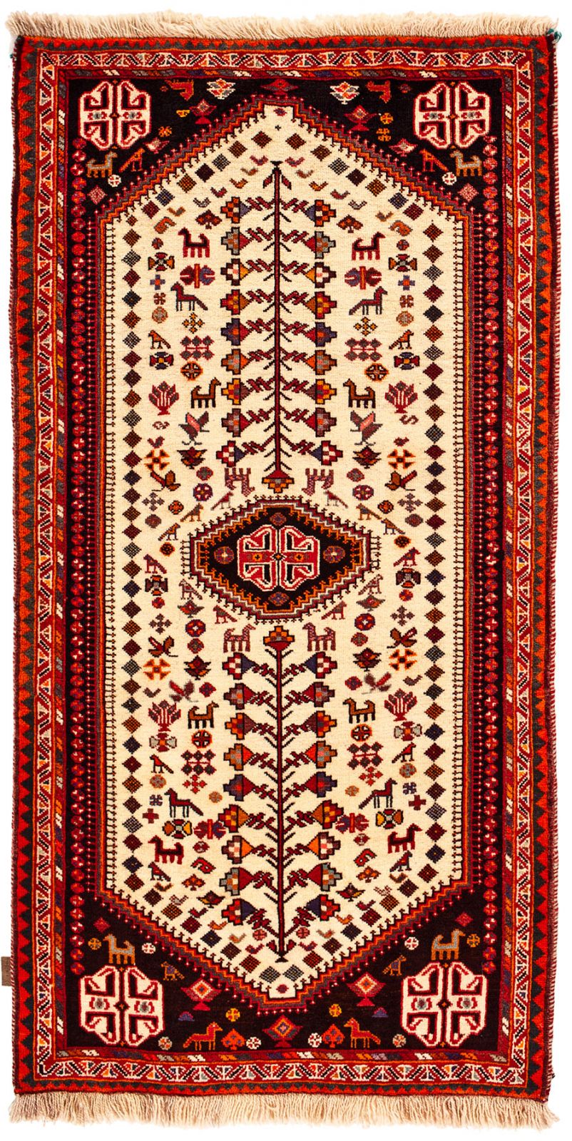 Gashgai wild desert