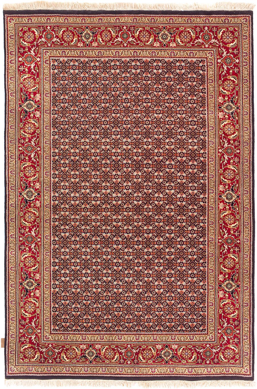 Tabriz Fein