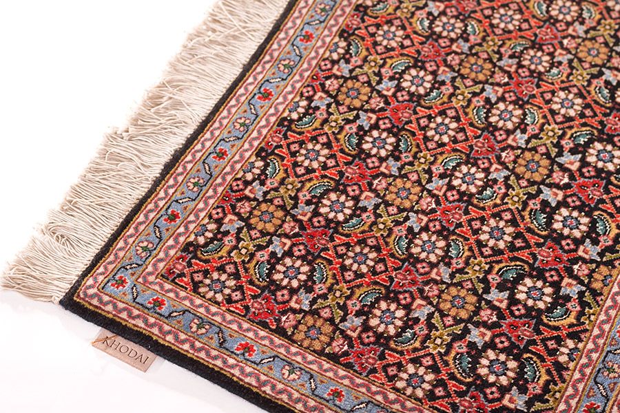 Tabriz Fein