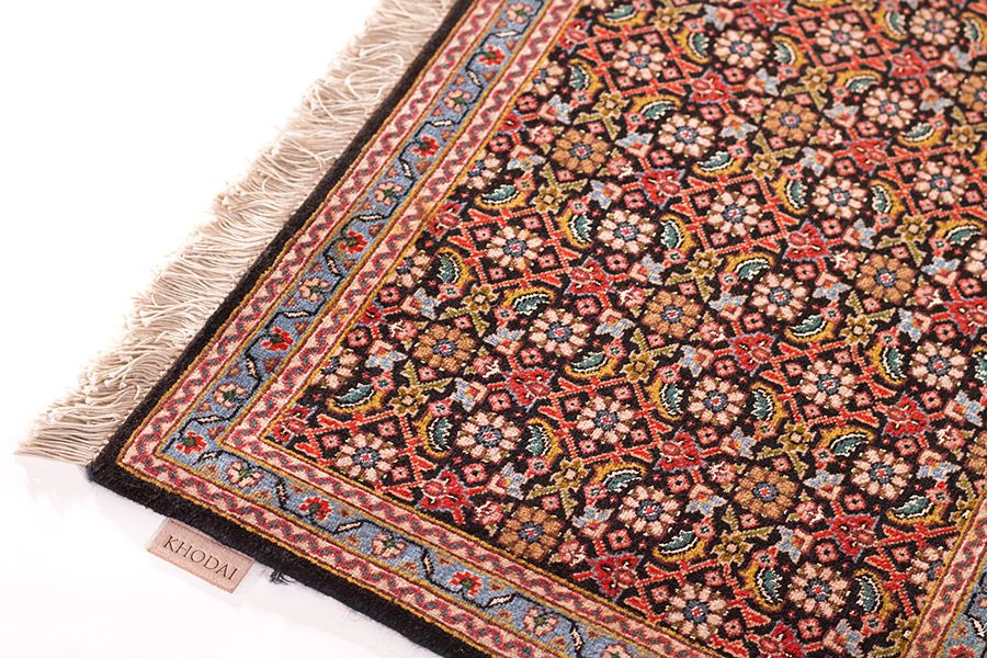 Tabriz Fein