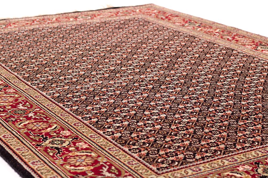 Tabriz Fein