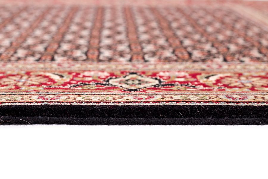 Tabriz Fein
