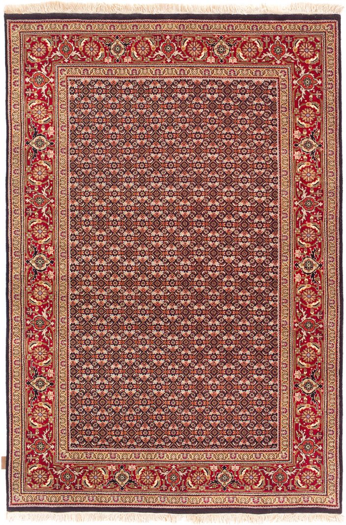 Tabriz Fein