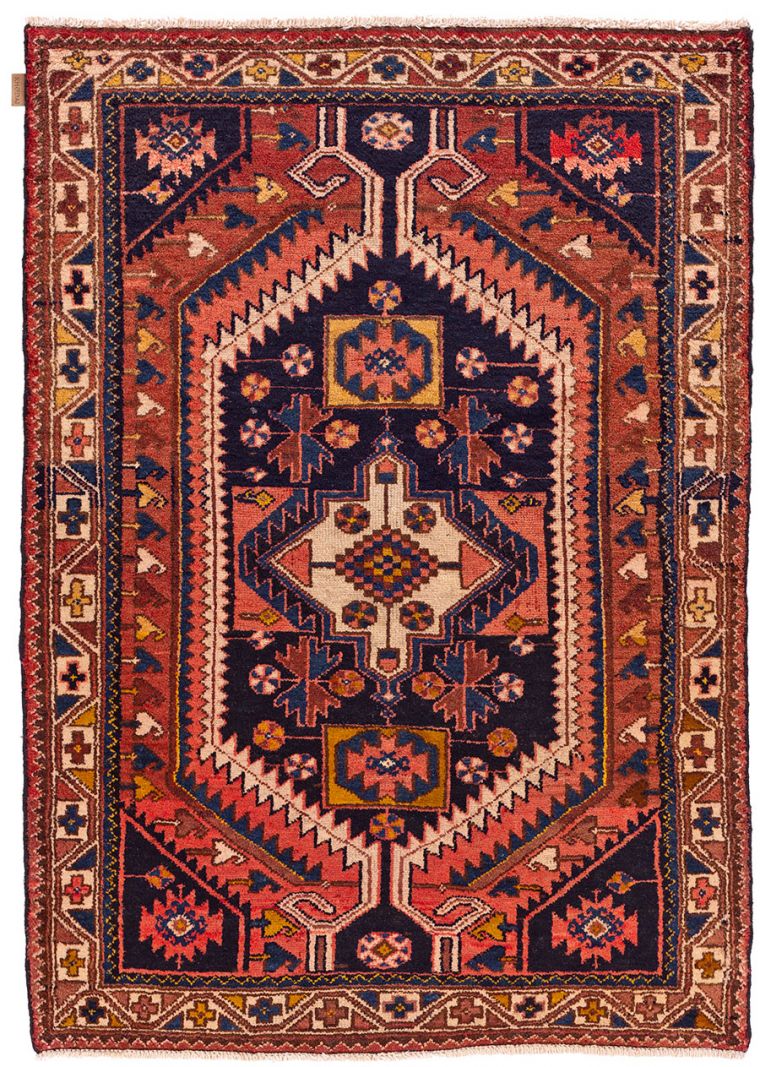 Shiraz wild desert